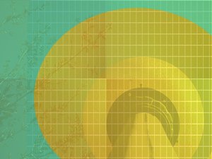 科学方法深度剖析实验设计中的混杂因子